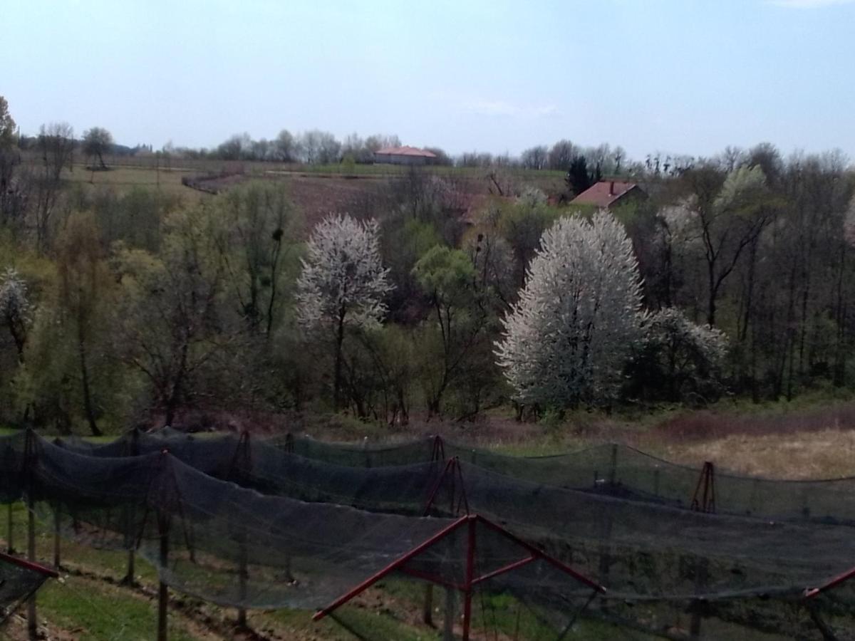 Studio Apartman Safaric Muraszentmárton Kültér fotó