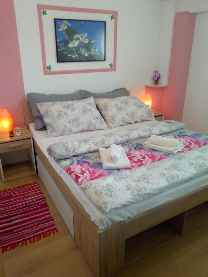 Studio Apartman Safaric Muraszentmárton Kültér fotó
